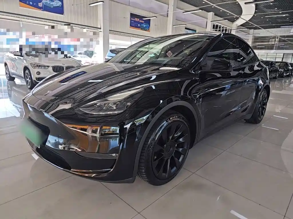 Tesla Model Y — миниатюра 2