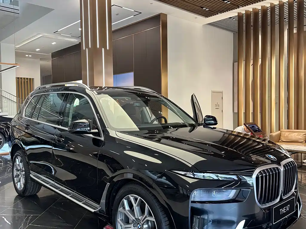 BMW X7 — миниатюра 2