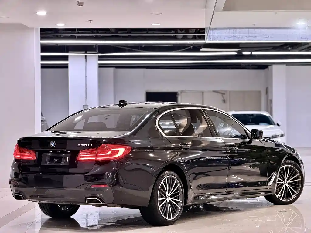 BMW 5 Series — миниатюра 11