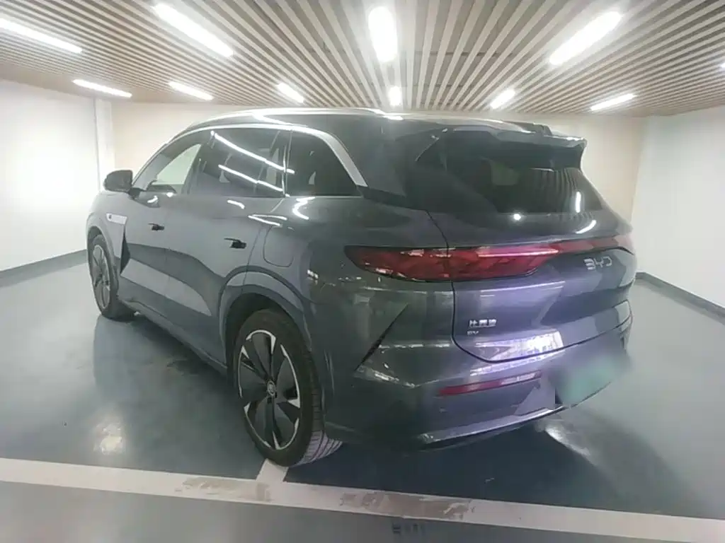 BYD Дон Л. — миниатюра 5