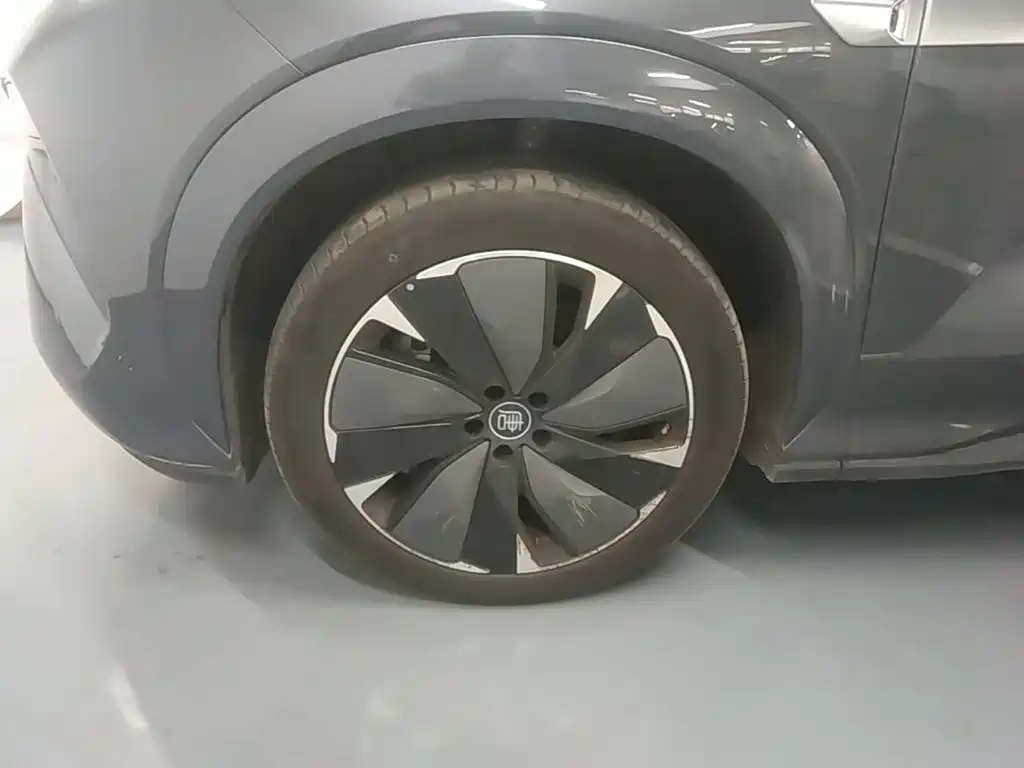BYD Дон Л. — миниатюра 23