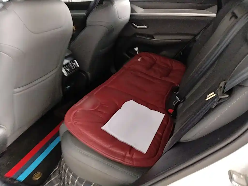 BYD Pro New Energy — миниатюра 17