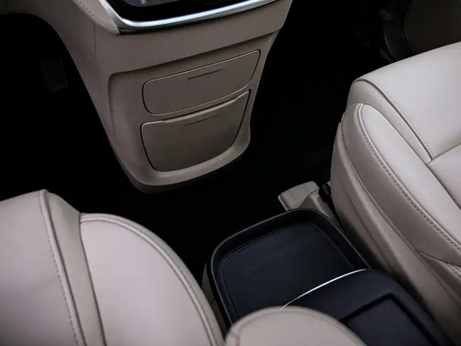 Buick GL8 — миниатюра 10