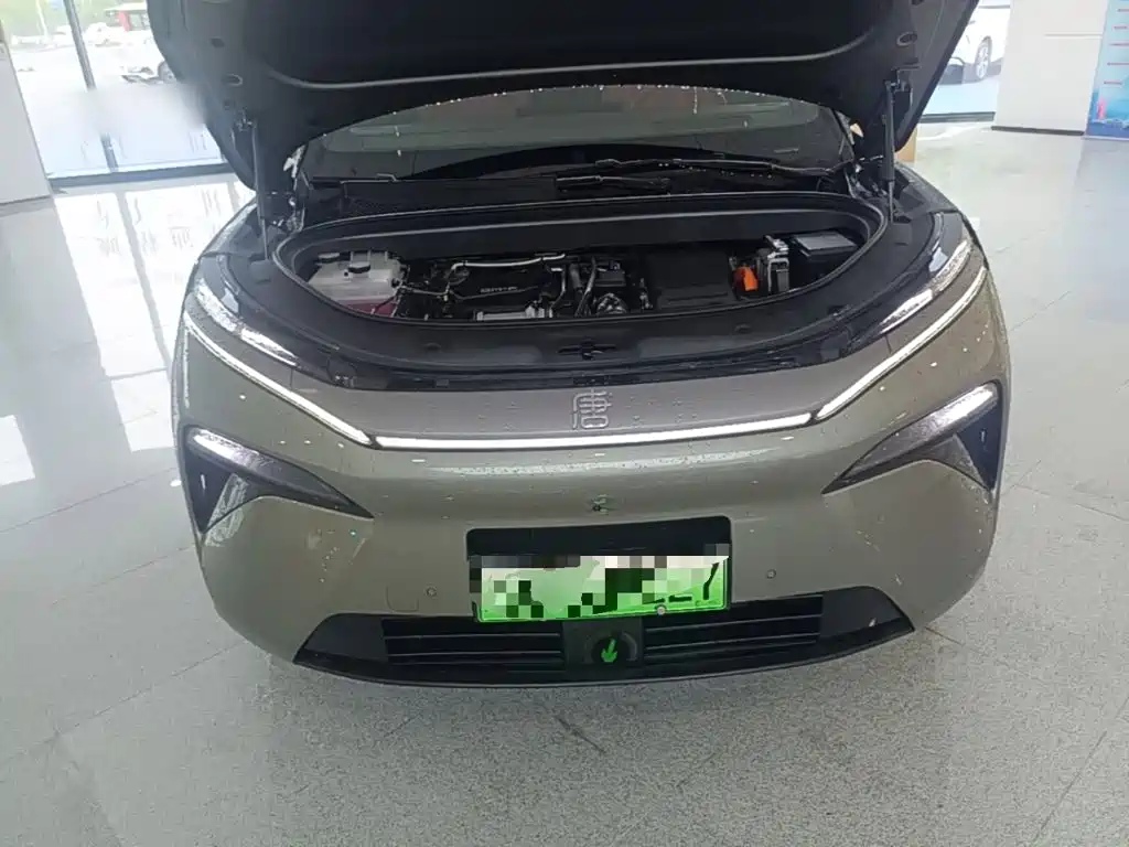 BYD Дон Л. — миниатюра 16