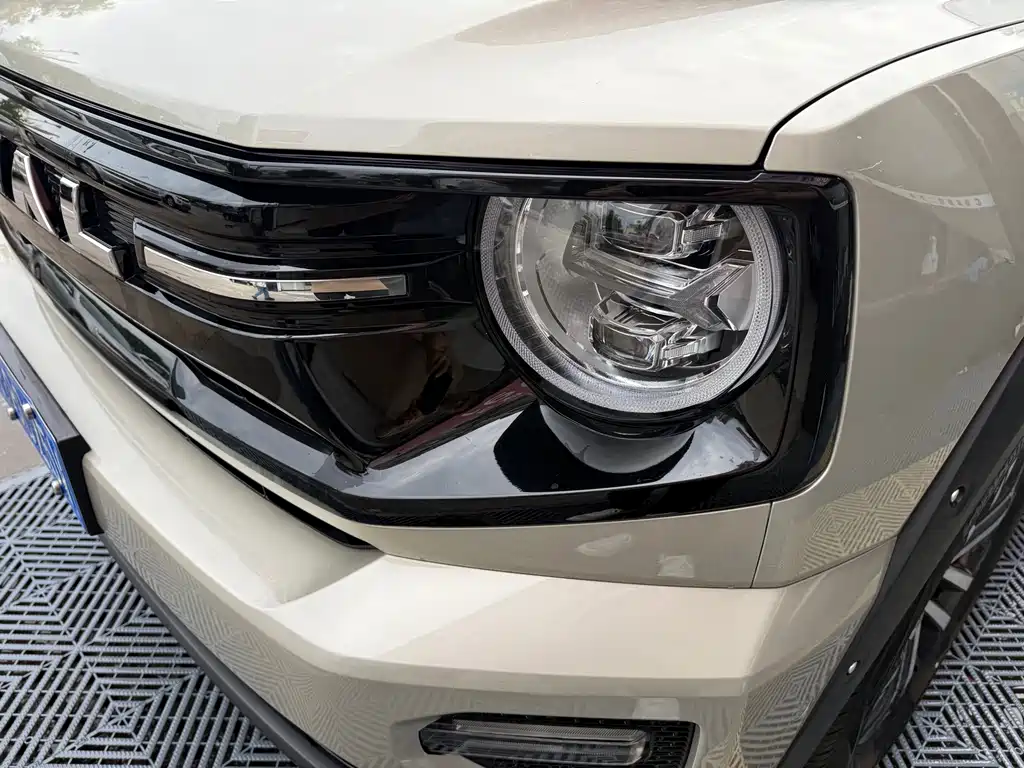 Haval Big Dog PLUS — миниатюра 5