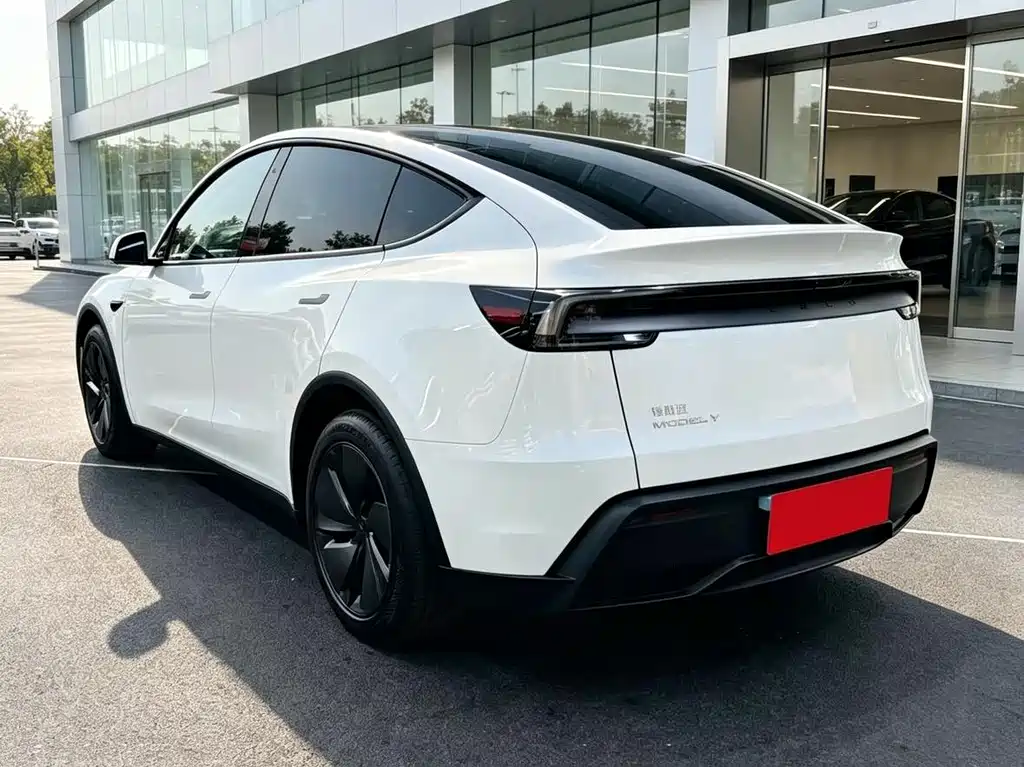 Tesla Model Y — миниатюра 9