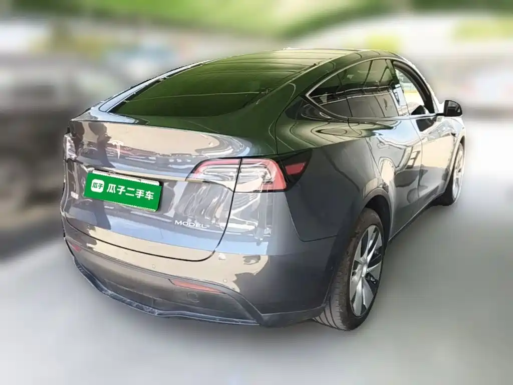 Tesla Model Y — миниатюра 12