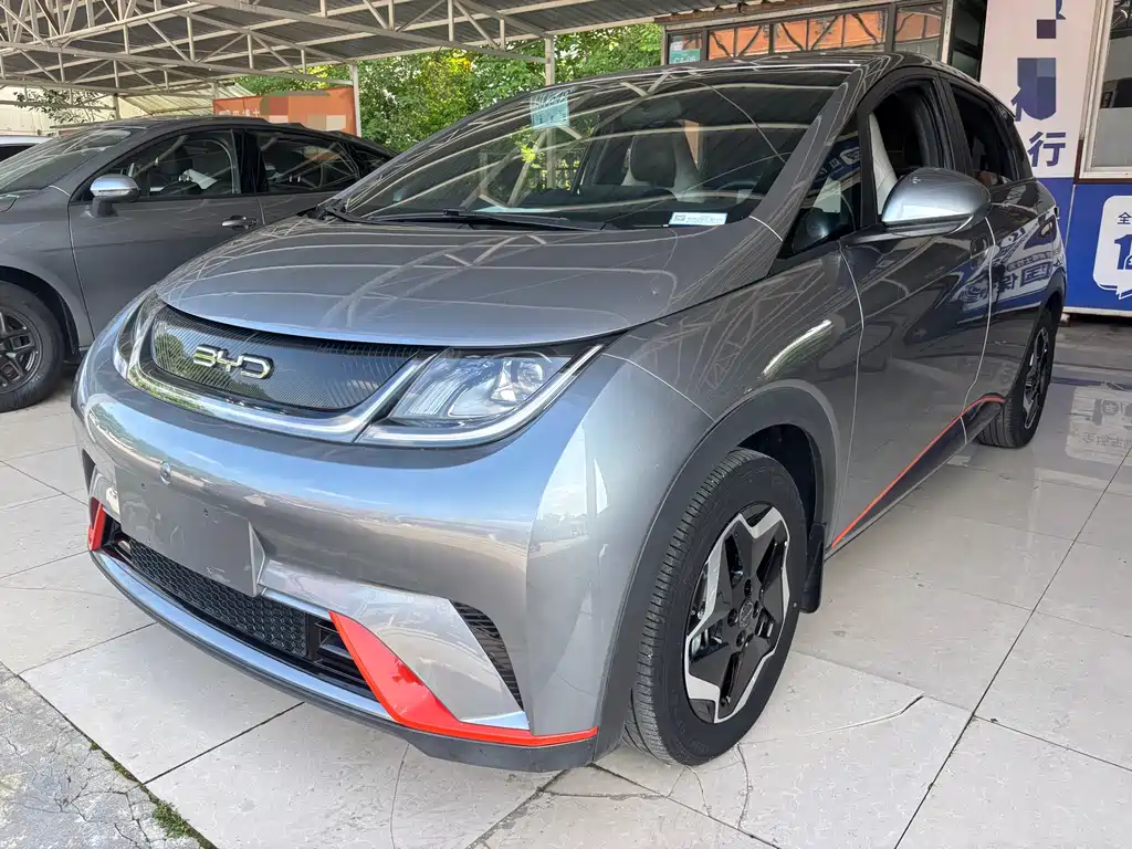 BYD Dolphin 2021 405km Free Edition