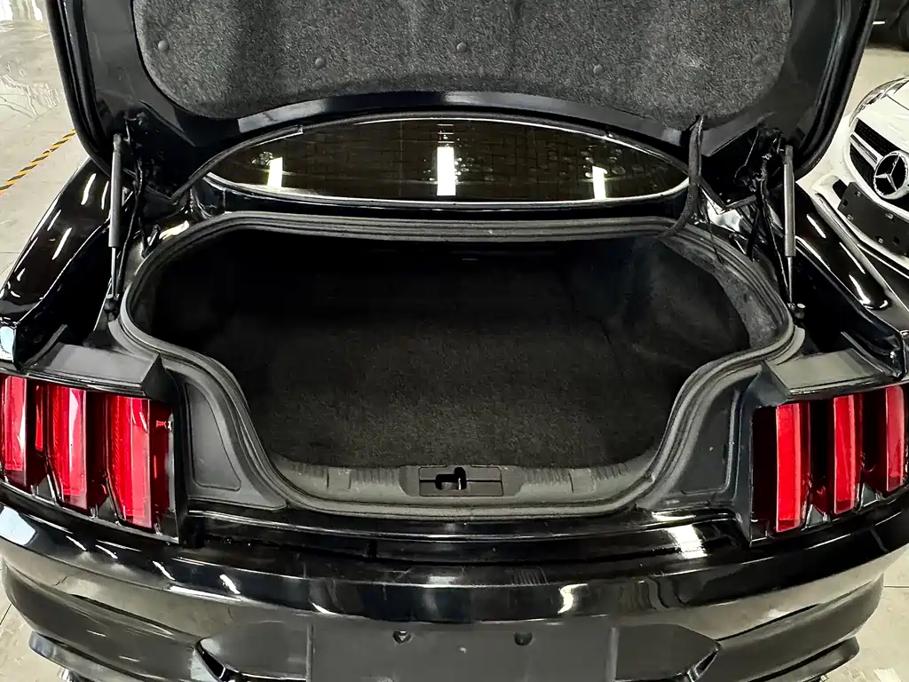 Ford Mustang — миниатюра 5