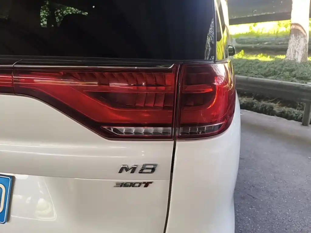 GAC Motor Trumpchi M8 — миниатюра 8