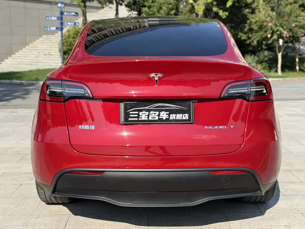 Tesla Model Y — миниатюра 8