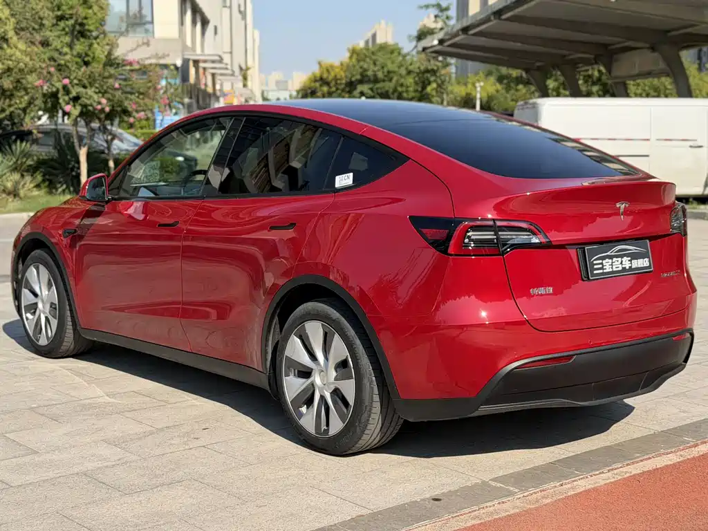 Tesla Model Y — миниатюра 6