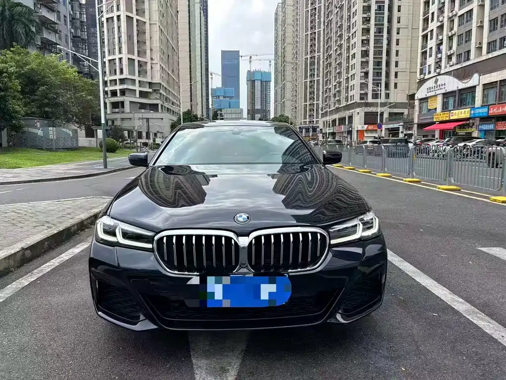 BMW 5 Series — миниатюра 2
