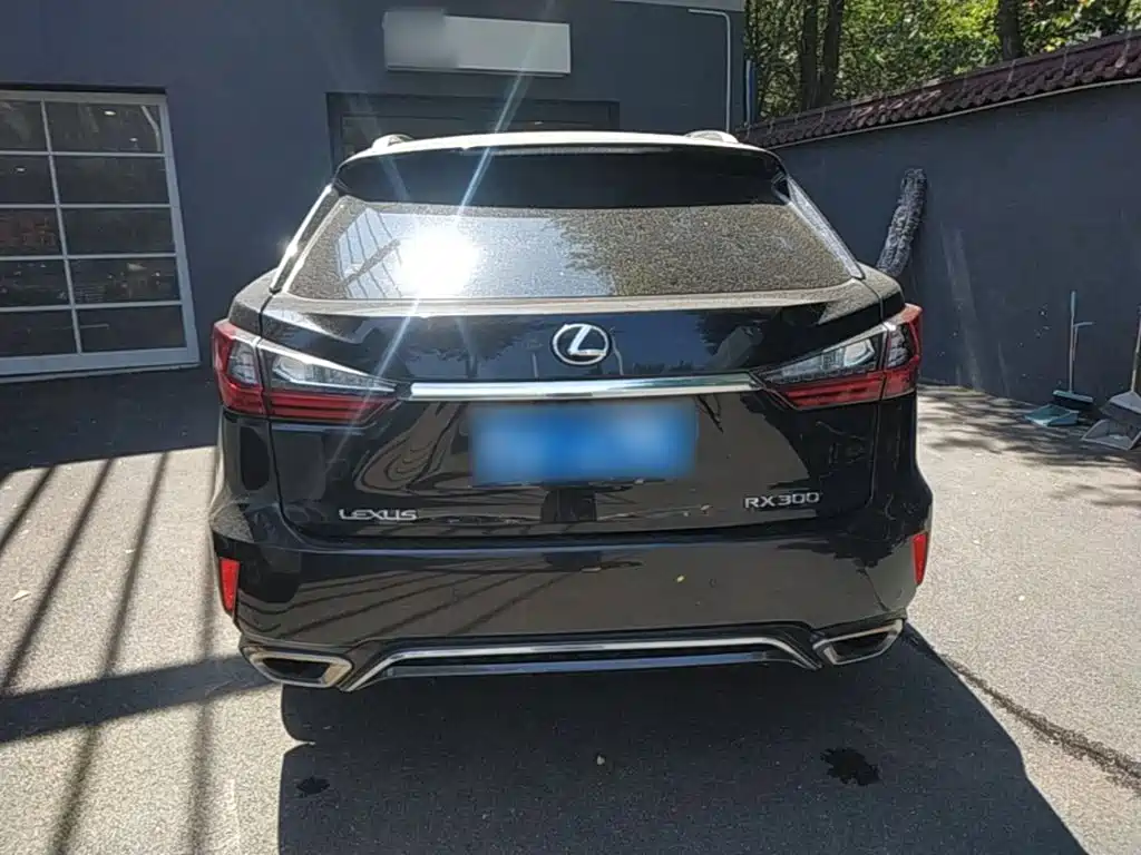 Lexus RX — миниатюра 6