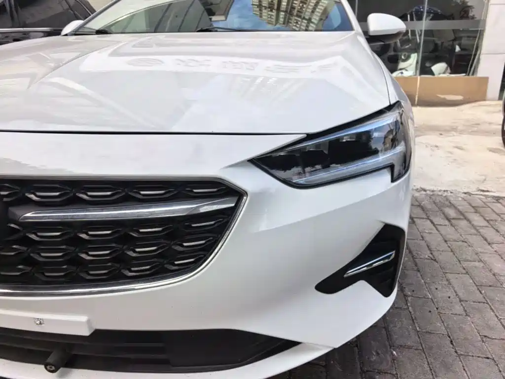 Buick Regal — миниатюра 24
