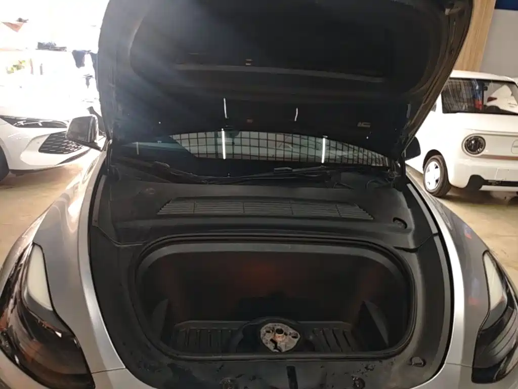 Tesla Model Y — миниатюра 20