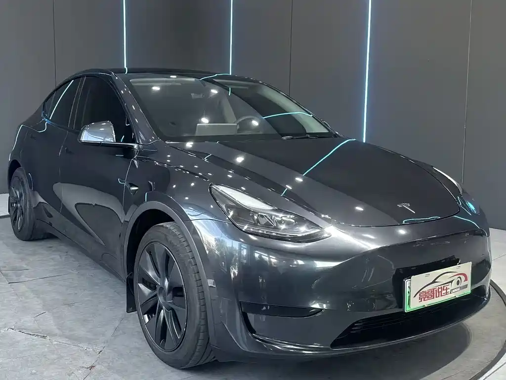 Tesla Model Y — миниатюра 3
