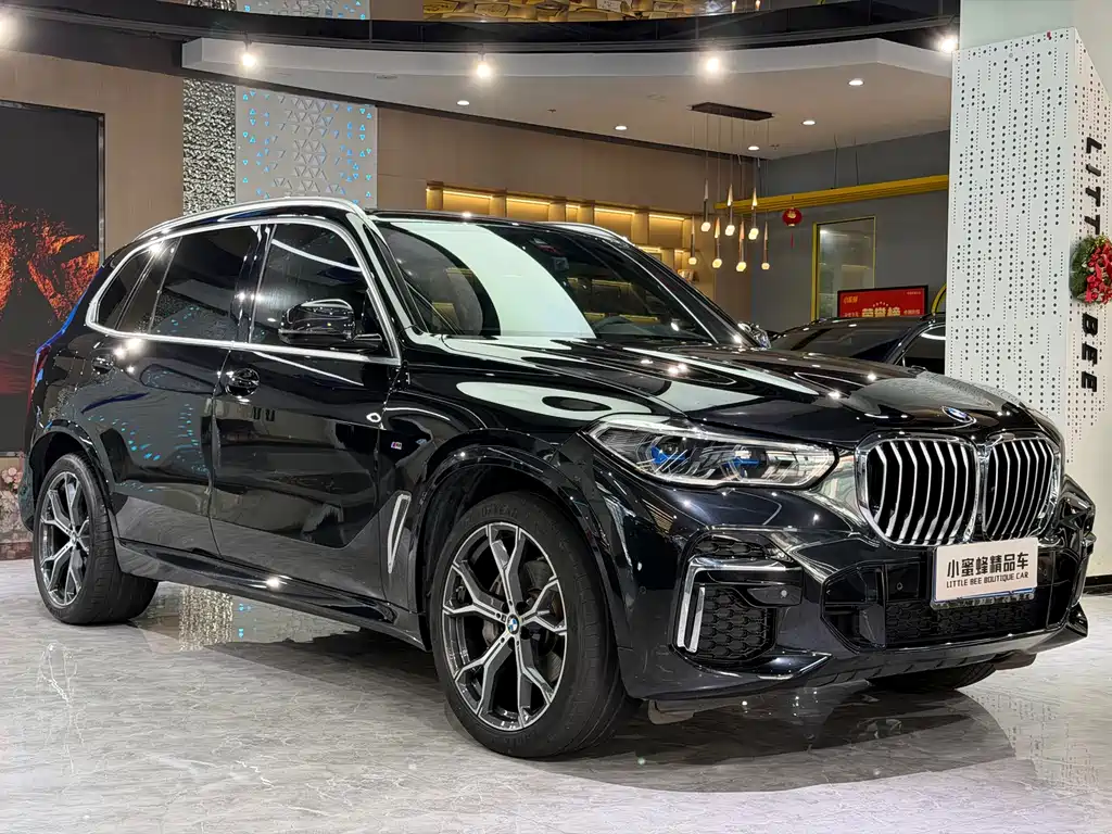 BMW X5 — миниатюра 3