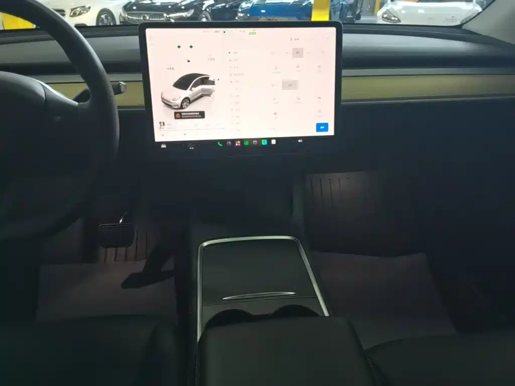 Tesla Model Y — миниатюра 13