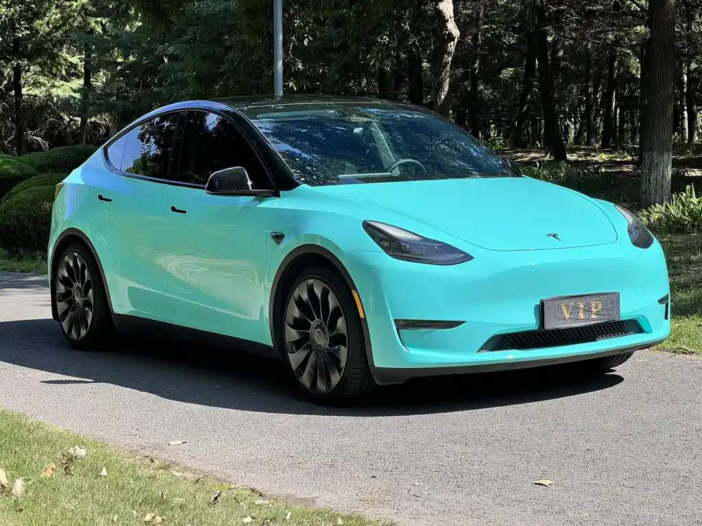 Tesla Model Y — миниатюра 3