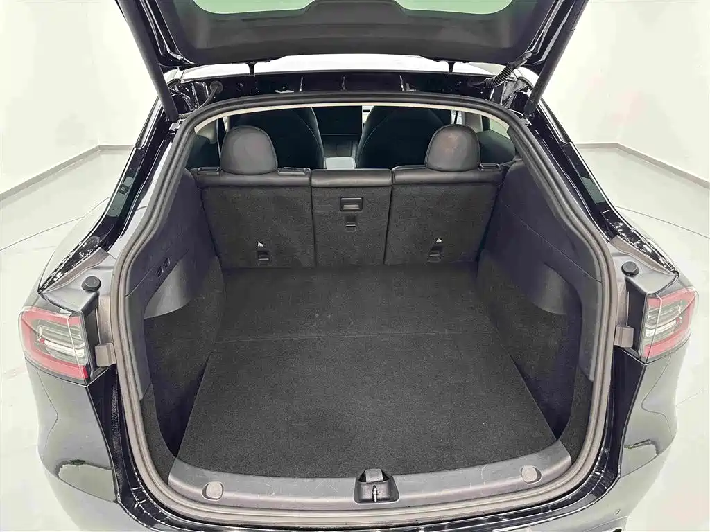 Tesla Model Y — миниатюра 25