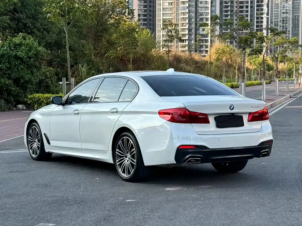 BMW 5 SERIES