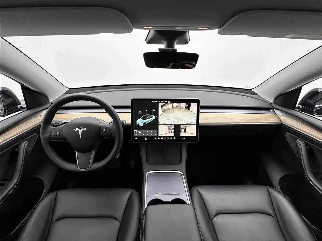 Tesla Model Y — миниатюра 18