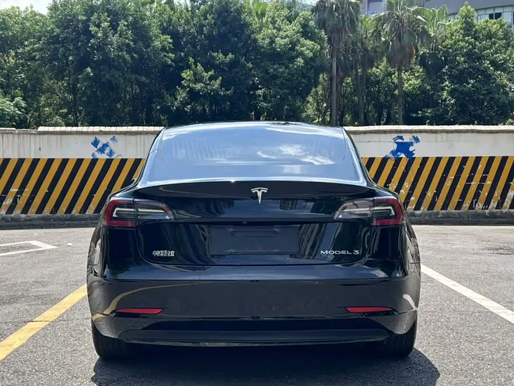 Tesla Model 3 — миниатюра 8