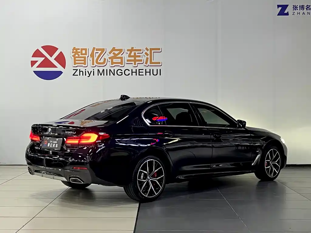 BMW 5 Series — миниатюра 5