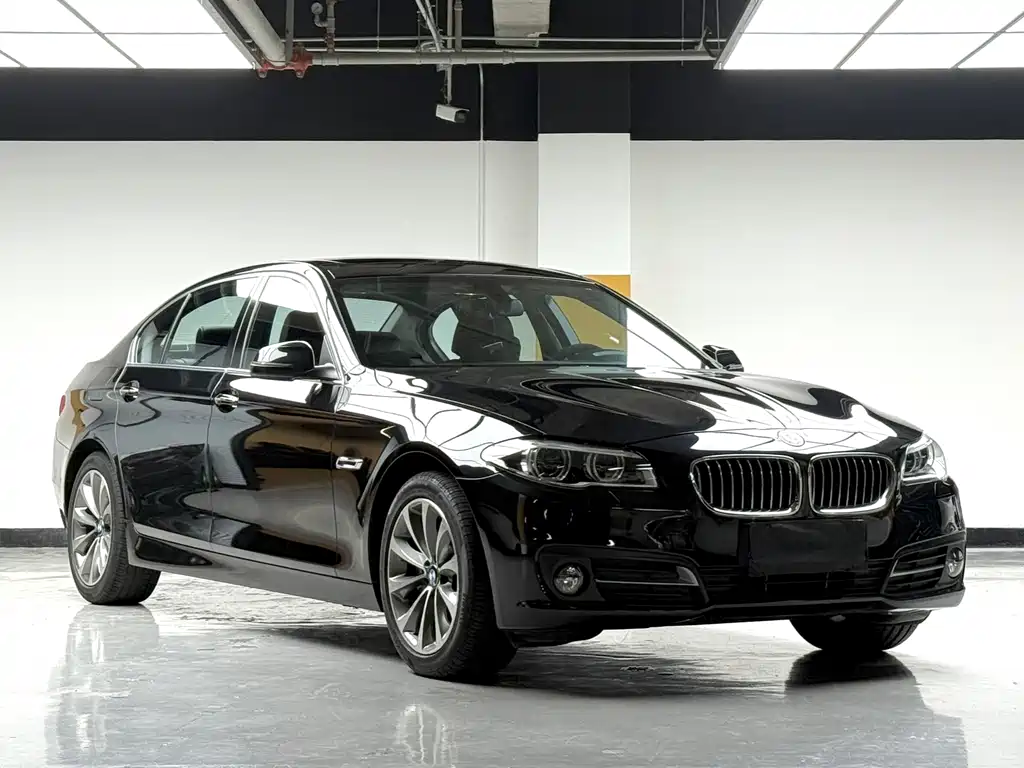 BMW 5 Series — миниатюра 3