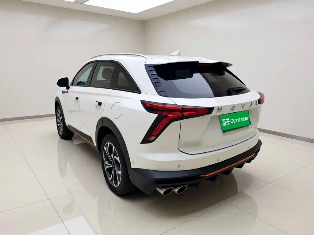 Haval Shenshou — миниатюра 4