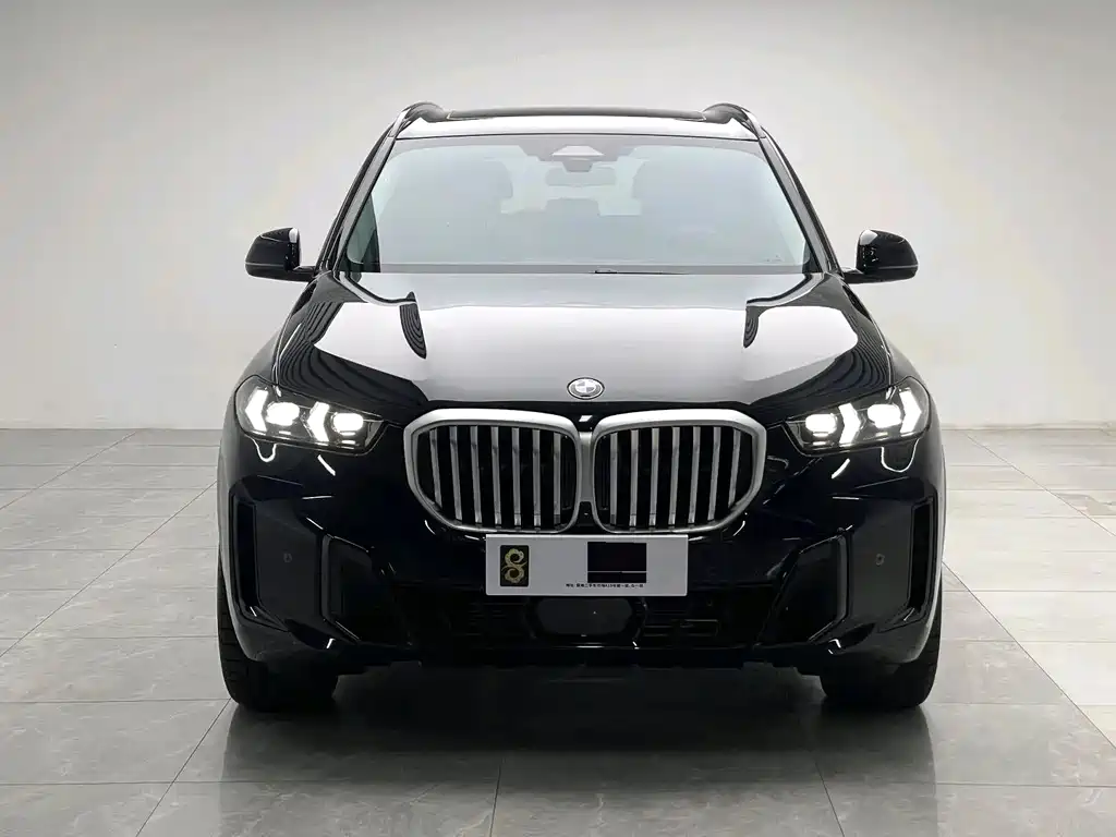 BMW X5 — миниатюра 2