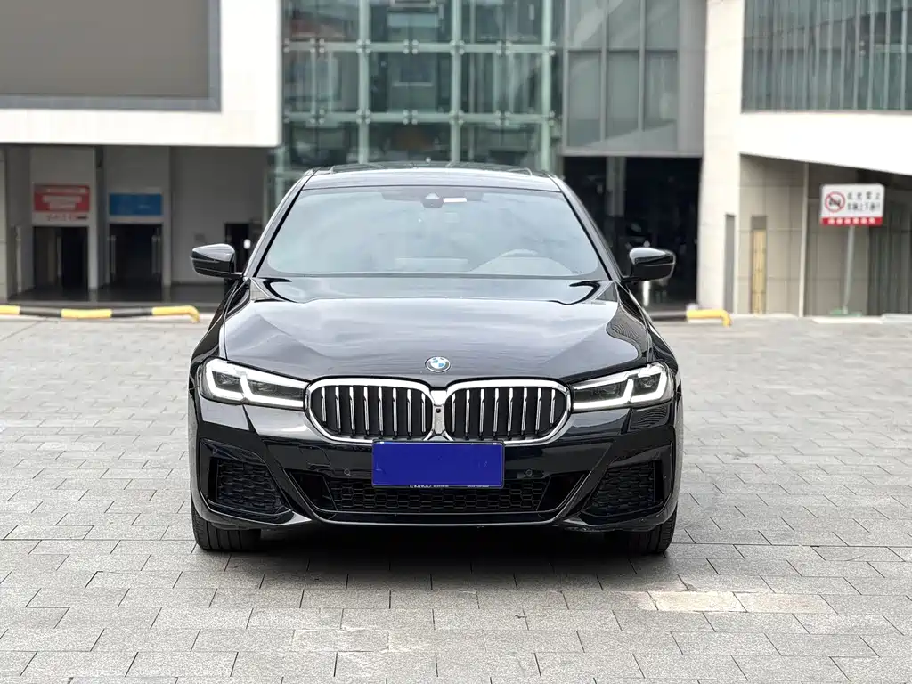 BMW 5 Series — миниатюра 2