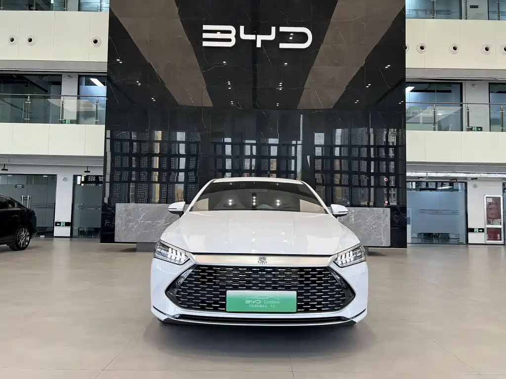 BYD Qin Plus PLUS 2024 DM-i 55KM Lead