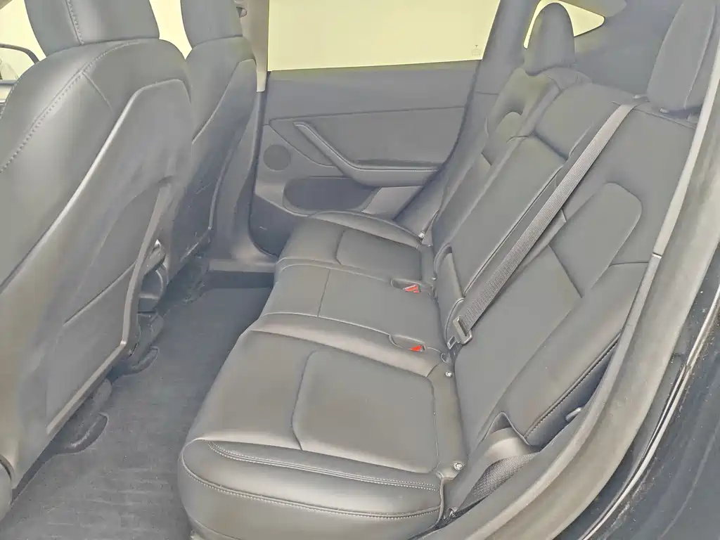 Tesla Model Y — миниатюра 5