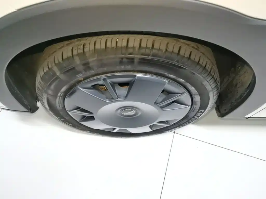 BYD Seagull — миниатюра 23