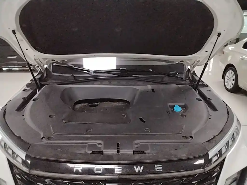 Roewe RX5 MAX — миниатюра 20