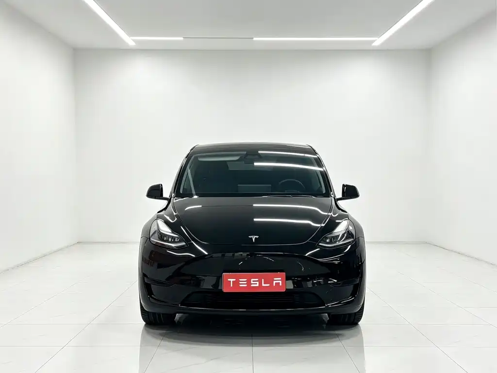 Tesla Model Y — миниатюра 2