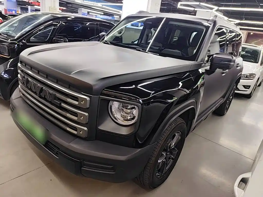 Haval Menglong New Energy — миниатюра 2