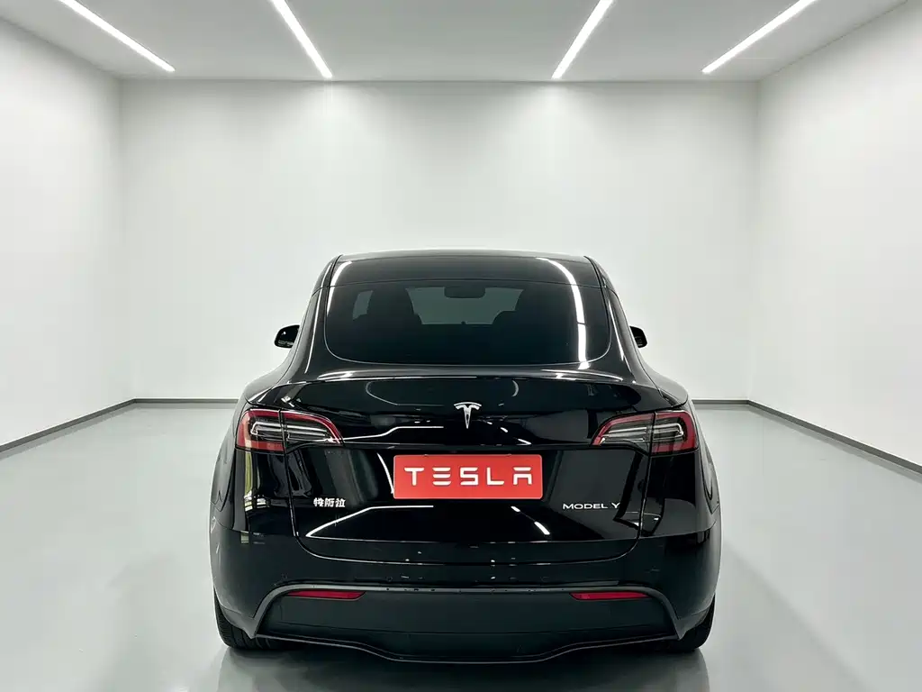 Tesla Model Y — миниатюра 8