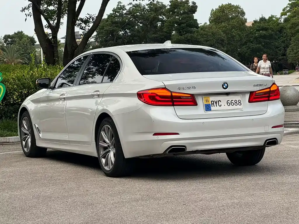 BMW 5 Series 5 2018 528Li