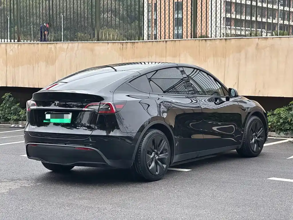 Tesla Model Y — миниатюра 6