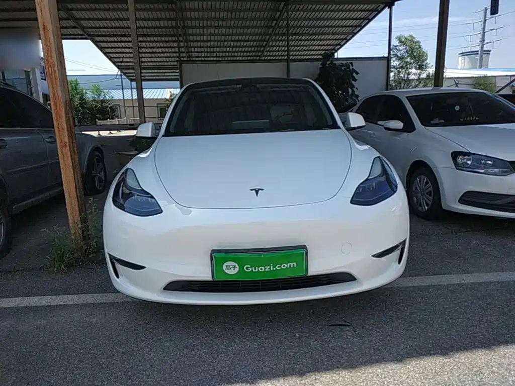 Tesla Model Y — миниатюра 3