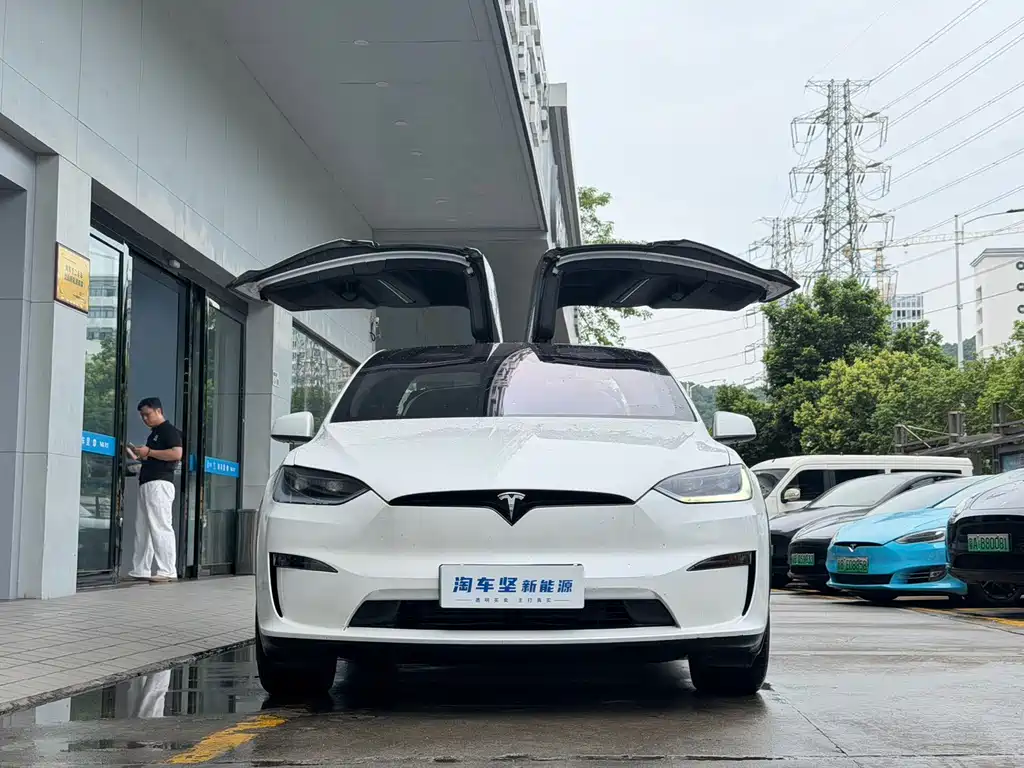 Tesla Model X — миниатюра 4