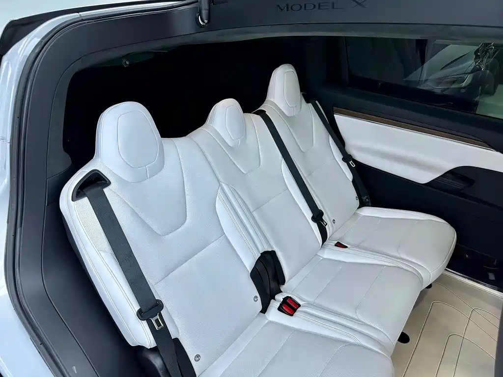 Tesla Model X — миниатюра 12
