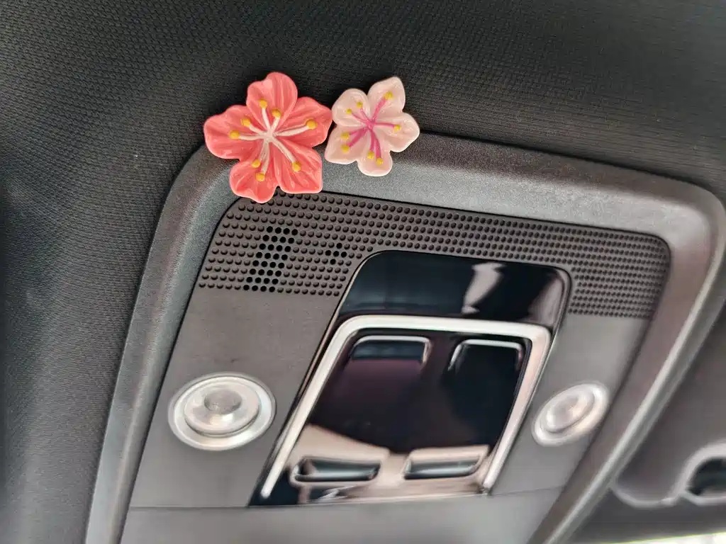 BYD Seagull 2025 Smart Drive 405km Flying