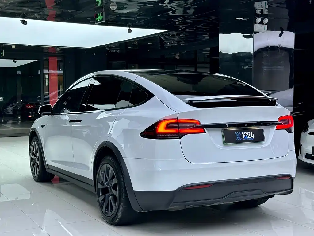 Tesla Model X — миниатюра 6