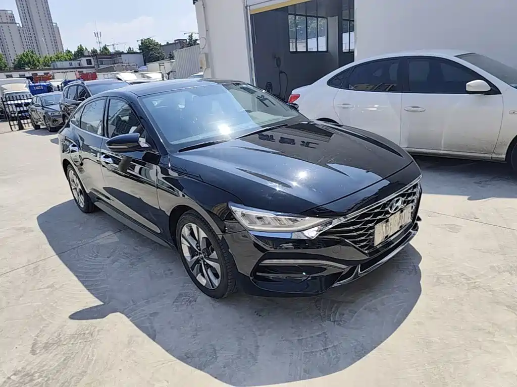 Hyundai Fista — миниатюра 4