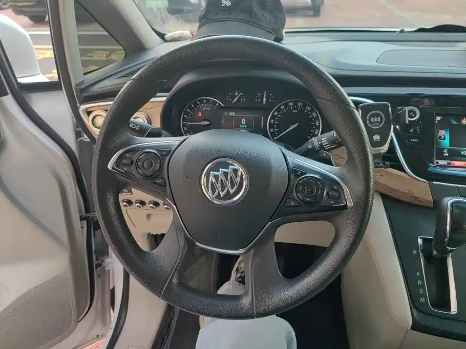 Buick GL8 — миниатюра 15