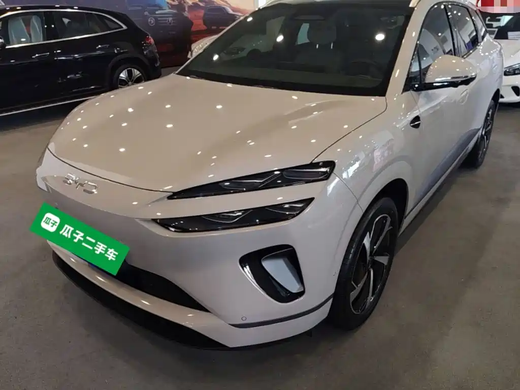 BYD Haisi 06 — миниатюра 2